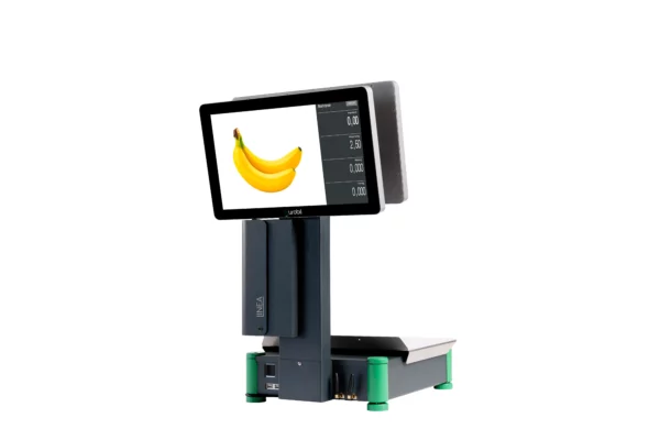 Linea – Image 4