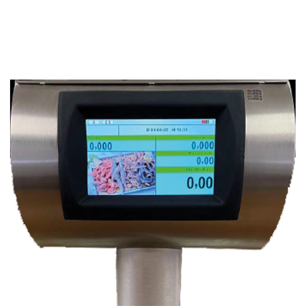 Sun Eco color – Image 3